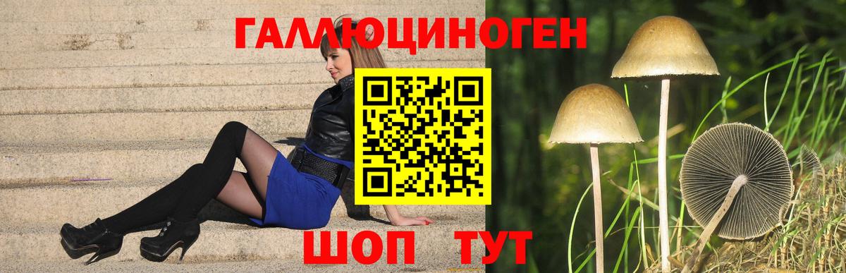 Псилоцибиновые грибы Psilocybe  Вход с VPN  Гай  Галлюциногенные грибы MAGIC MUSHROOMS 