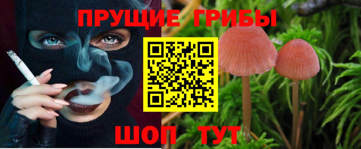 Псилоцибиновые грибы ЛСД Гай