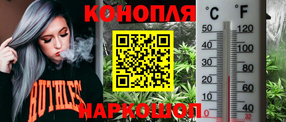 Гай  Бошки марихуана Bruce Banner  Вход с VPN  МАРИХУАНА сатива  Шишки марихуана индика 
